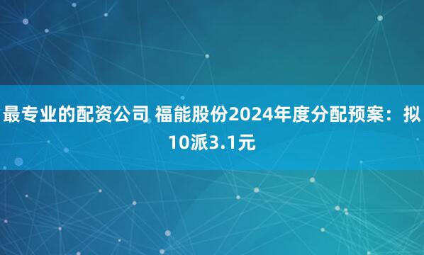 最专业的配资公司 福能股份2024年度分配预案：拟10派3.1元