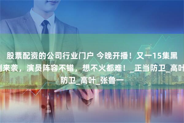 股票配资的公司行业门户 今晚开播！又一15集黑马悬疑剧来袭，演员阵容不错，想不火都难！_正当防卫_高叶_张鲁一