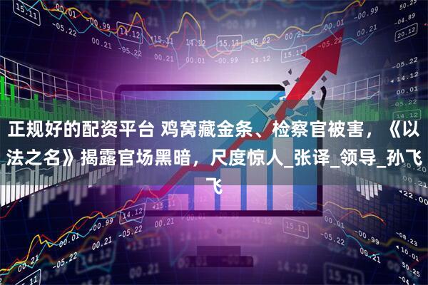 正规好的配资平台 鸡窝藏金条、检察官被害，《以法之名》揭露官场黑暗，尺度惊人_张译_领导_孙飞