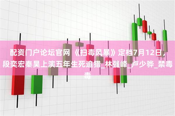 配资门户论坛官网 《扫毒风暴》定档7月12日，段奕宏秦昊上演五年生死追猎_林强峰_卢少骅_禁毒