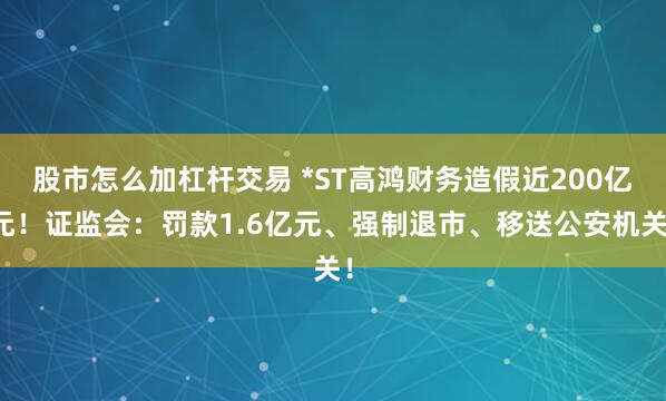股市怎么加杠杆交易 *ST高鸿财务造假近200亿元！证监会：罚款1.6亿元、强制退市、移送公安机关！