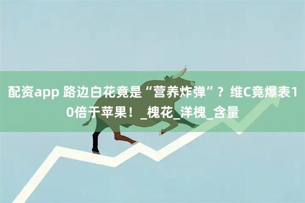 配资app 路边白花竟是“营养炸弹”？维C竟爆表10倍于苹果！_槐花_洋槐_含量