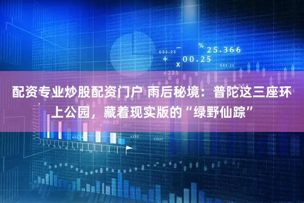 配资专业炒股配资门户 雨后秘境：普陀这三座环上公园，藏着现实版的“绿野仙踪”
