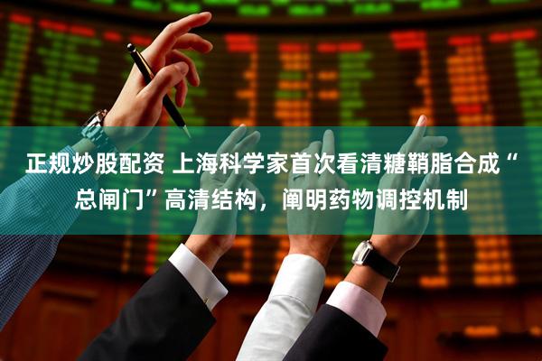 正规炒股配资 上海科学家首次看清糖鞘脂合成“总闸门”高清结构，阐明药物调控机制