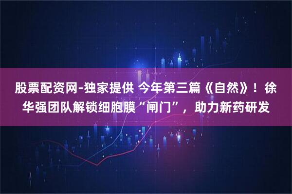 股票配资网-独家提供 今年第三篇《自然》！徐华强团队解锁细胞膜“闸门”，助力新药研发
